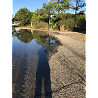 Day after the king tide Gloucester to the Northern neck image